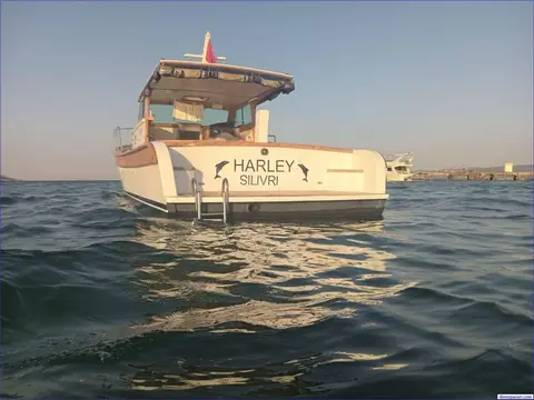 Özel Yapım Diğer 2020