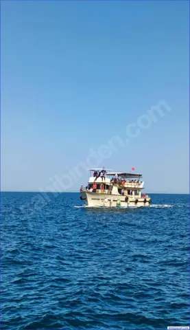 Gezi 46 Kişilik Volvo 2017